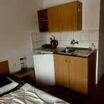招待所 Erika 3*